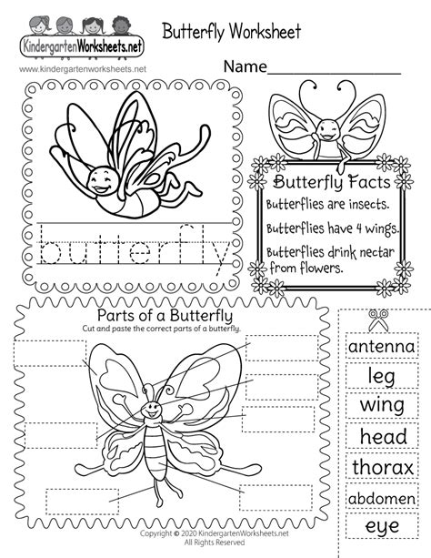 Free Printable Butterfly Worksheet for Kindergarten