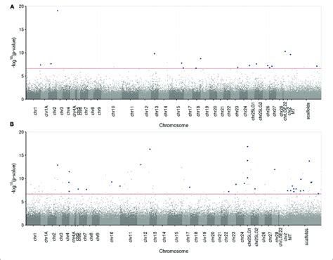 Manhattan Plot Of P Values In Log Scale Corresponding To The