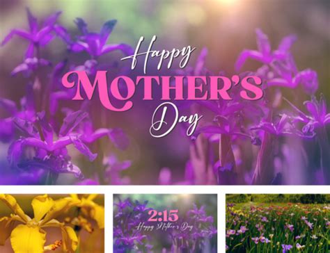 Mother's Day Garden - Collections | Life Scribe Media