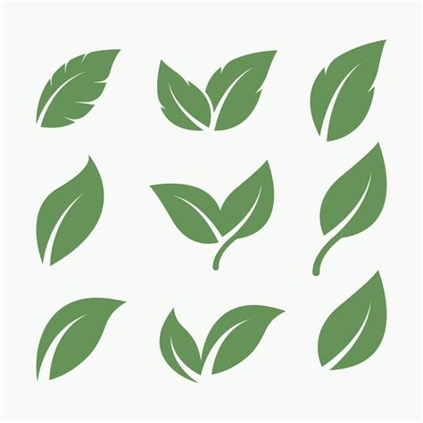 Premium Vector Green Leaf Vector Icon Set Design