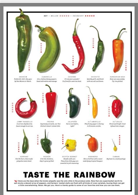 Discover The World Of Hot Pepper Varieties