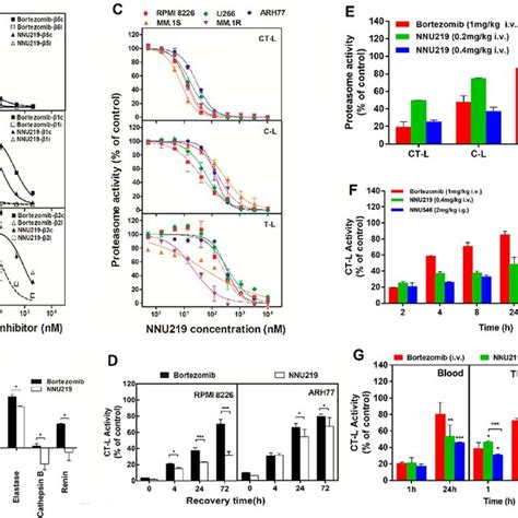 Nnu219 And Bortezomib Differentially Affect Proteasome Activities In Download Scientific