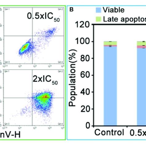 A Apoptosis Analysis Of A549 Cancer Cells After 24 H Of Exposure To