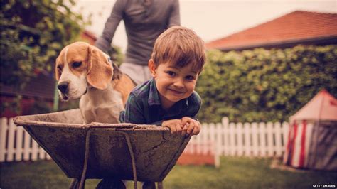 Why Are Dogs Friends With Humans