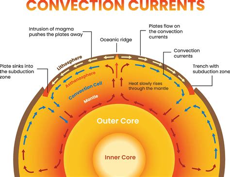 Illustration of convection currents diagram 45993898 Vector Art at Vecteezy