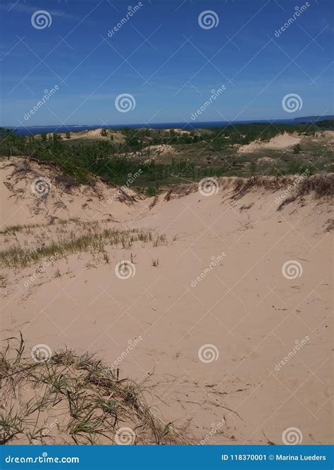 Water Sea Coast Sand Dunes Vegetation Trail Trees Sky Stock Image
