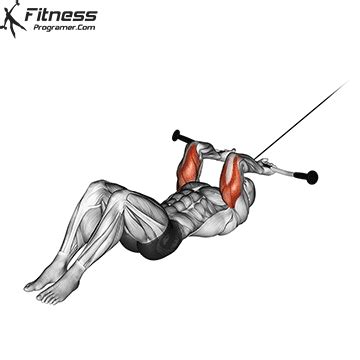 Cable Lying Triceps Extension » Workout Planner