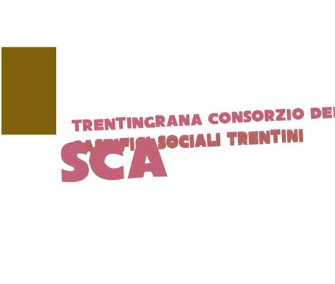 Trentingrana Consorzio Dei Caseifici Sociali Trentini Sca Trento