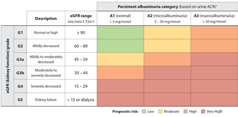 What are the 5 stages of CKD? - Chronic Kidney Disease Explained