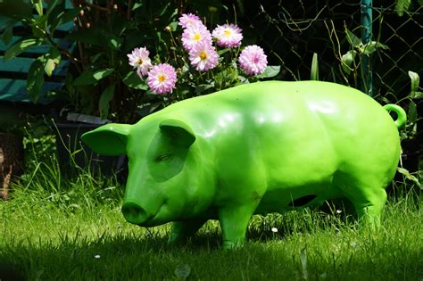 1920x1080 Wallpaper Green Ceramic Pig Statuette Peakpx