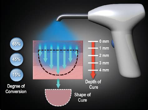 Figure 3 From Light Curing Considerations For Resin Based Composite