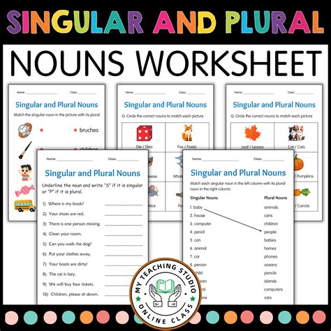 plural  singular worksheet