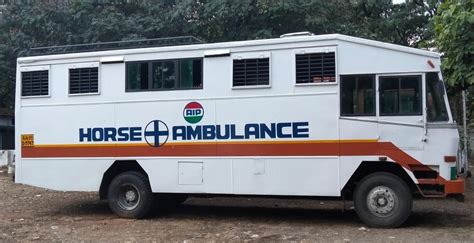 Horse Ambulance At ₹ 1500000 108 Ambulance In Pune Id 24229399373