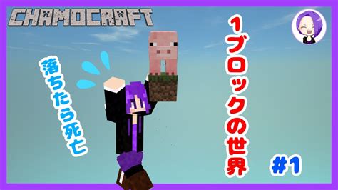 【マイクラ】1ブロックしかない世界でサバイバル【minecraft】スカイブロック1 Youtube