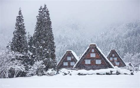 2d1n Shirakawa Go Hida Takayama Kanazawa Kenrokuen Tour From Tokyo