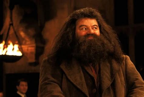 Robbie Coltrane morreu em decorrência de uma falência múltipla de