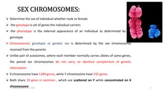 Sex Chromosomes Evolution Pptx