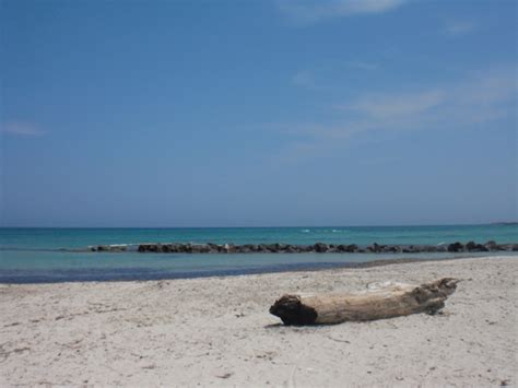 Torre Guaceto, Puglia: photo article with the best lanscapes/places