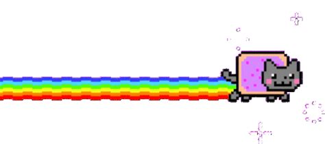 Neon Cat Cat Sticker - Neon Cat Cat Rainbow - Discover & Share GIFs