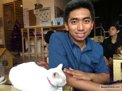 Cat Cafe Manila Maginhawa Street Quezon City Lovers In The City