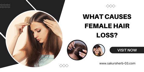 What Causes Female Hair Loss Sakura Herb