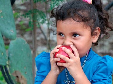 C Mo Prevenir La Desnutrici N Infantil C Ritas De Monterrey