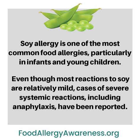 Soy Allergy Education And Awareness Soy Allergy Common Food