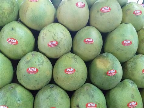 Fresh Sweet Davao Pomelo (Suha) order price / kilo – Farm2Metro