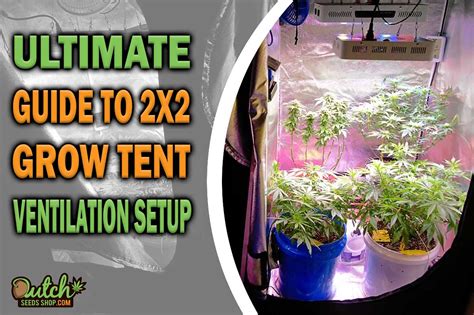 Ultimate Guide To 2x2 Grow Tent Ventilation Setup Dss