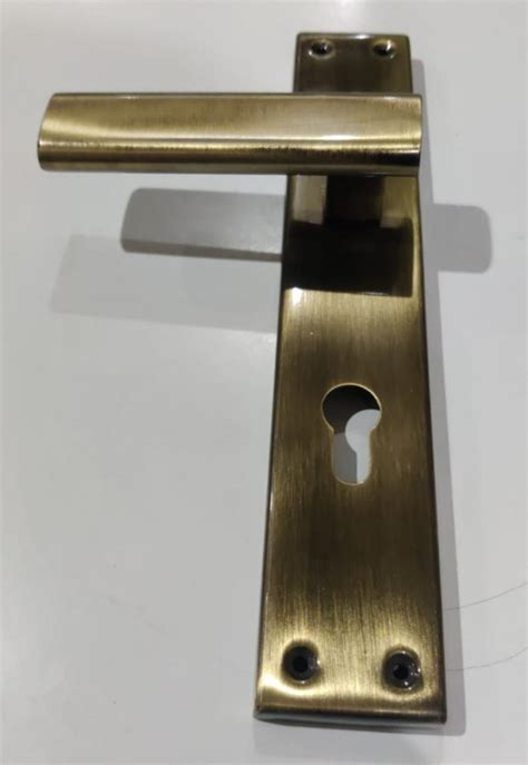 Stainless Steel 8 Inch Mortise Door Handle Lock Chrome At Rs 550piece In Aligarh