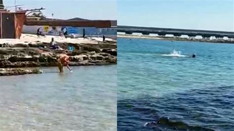 Gargano Primi Tuffi In Mare A Manfredonia Le Immagini Di Matteo Nuzziello