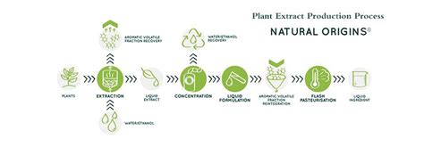 What are the extraction methods of plant extract? - Knowledge - Xi'an ...