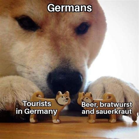 Beer Bratwurst And Sauerkraut Meme By Maddythemadcow Memedroid