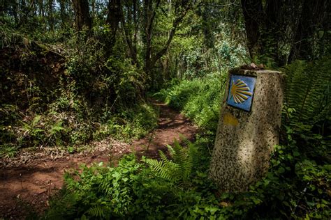 The Way Of Saint James From Ponferrada All Stages And Maps