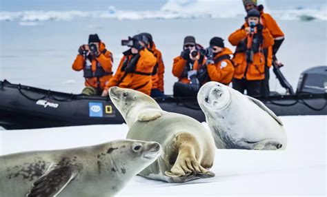 Antarctica Direct National Geographic Explorer Iexpedition