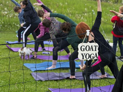 Goat yoga is a thing and you'll wanna get in on it