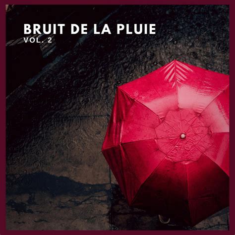 Bruit De La Pluie Vol 2 Album By Sons De La Nature Projet France De