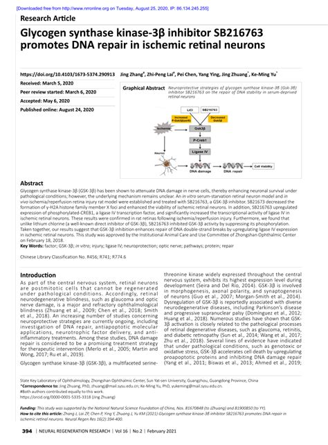 Pdf Glycogen Synthase Kinase 3β Inhibitor Sb216763 Promotes Dna