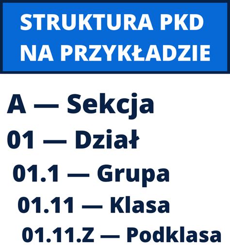 Co To Jest Polska Klasyfikacja Dzia Alno Ci Jakie Znaczenie Maj Kody