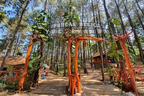 Outbound Hutan Tempat Outbound Jogja Murah Seru Dan Tak Terlupakan