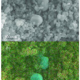 A SEM Micrograph Taken On A Fractured Surface And B SEM Micrograph