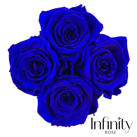 Niebieskie R E Wieczne Infinity Rose Czarny Flower Box