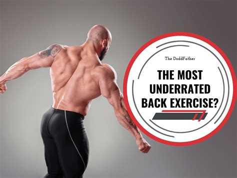 face pulls essential exercise   upper  strength