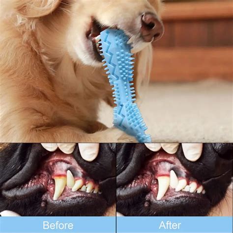 Buy Dog Toothbrush Toy Online - Pets Bunny