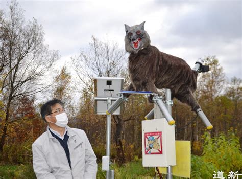 Monster Wolf Robot Born In Northern Japan Scares Away Bears