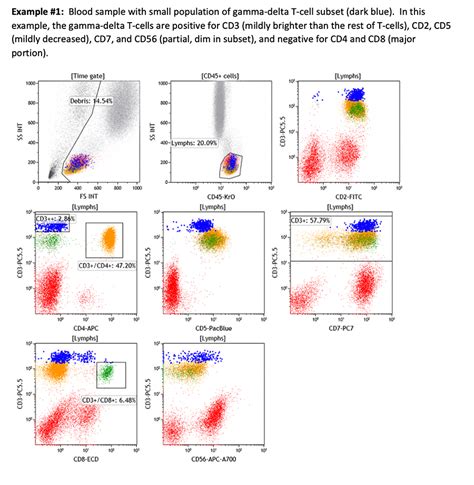 T Cells Flow Cytometry Hot Sex Picture