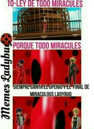 MEME Las 10 leyes de todo Miracules Miraculous Ladybug Español