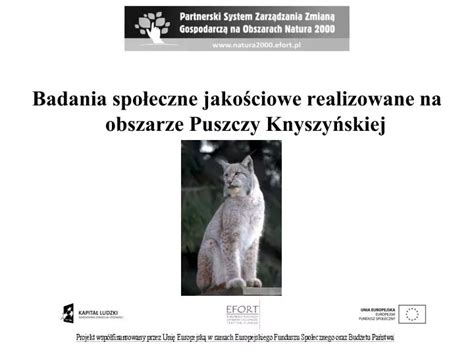 Ppt Badania Spo Eczne Jako Ciowe Realizowane Na Obszarze Puszczy