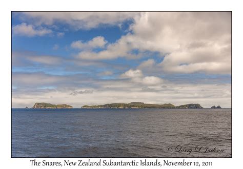 The Snares, New Zealand Subantarctic Islands - Slideshow :: Underwater ...