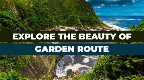 Explore South Africa S Garden Route Attractions Activities And More